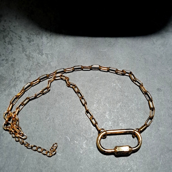 Goldtone Carabiner Necklace - Picture 4 of 4